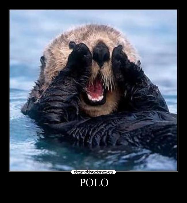 POLO - 