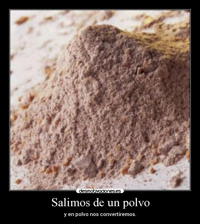 Salimos de un polvo - 