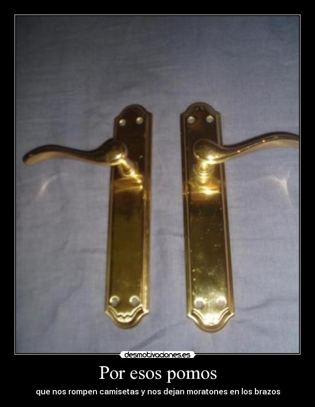 carteles pomos troll desmotivaciones