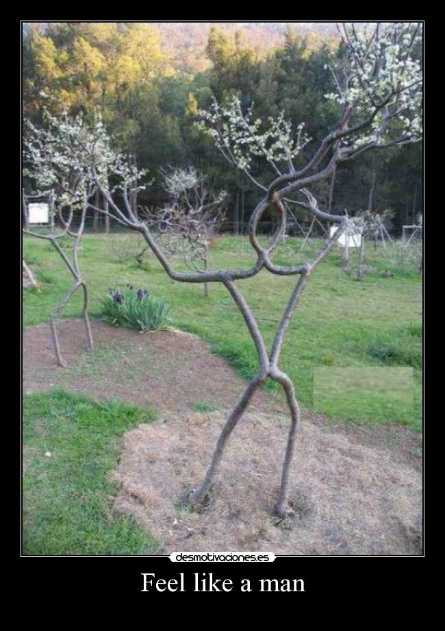 carteles jaja desmotivaciones