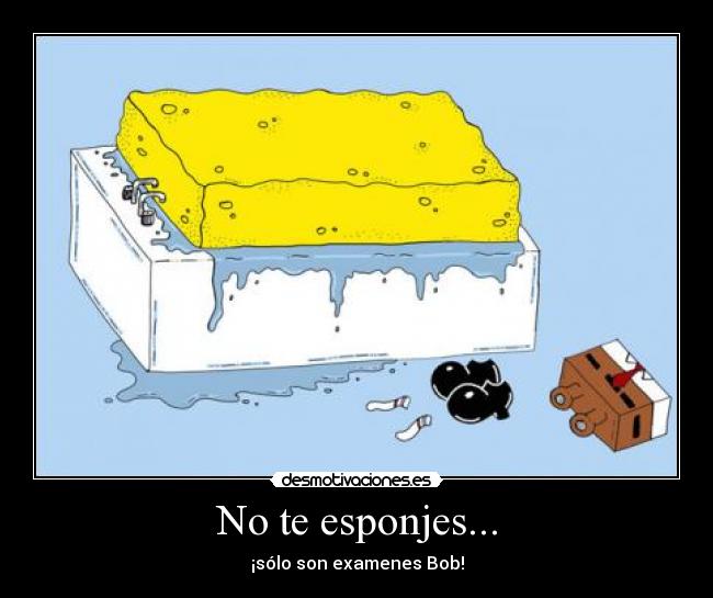 No te esponjes... - 