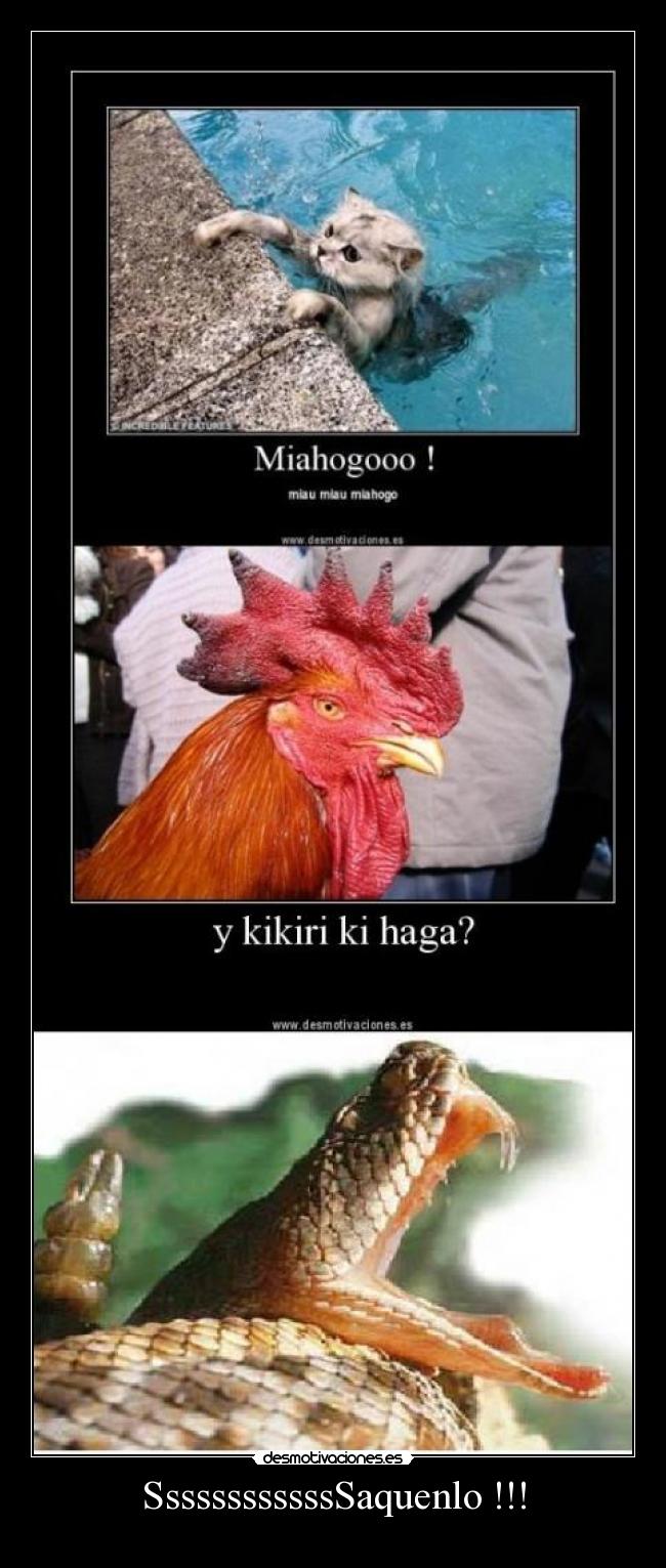 SsssssssssssSaquenlo !!! -