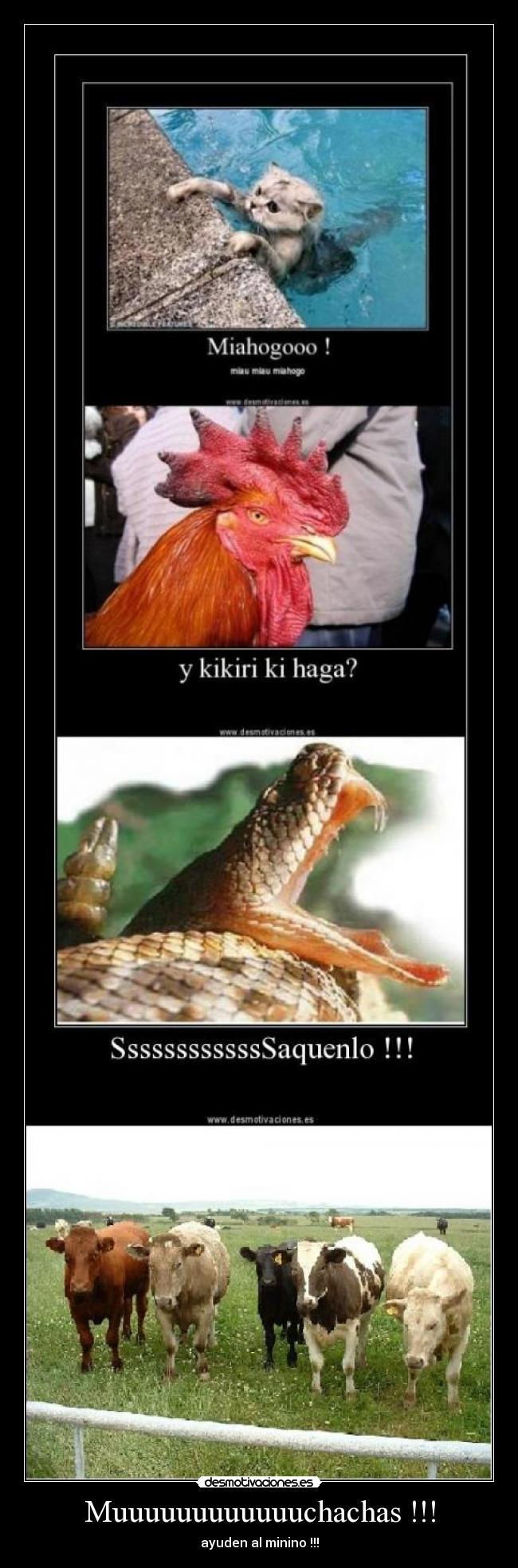 carteles djleon desmotivaciones