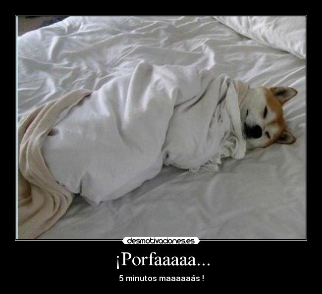 ¡Porfaaaaa... - 