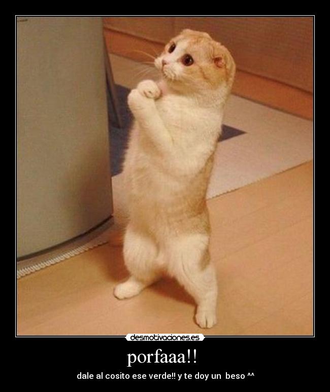 porfaaa!! -