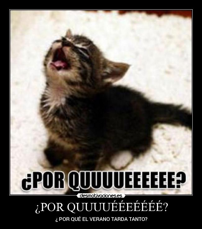 ¿POR QUUUUÉÉEÉÉÉÉ? -