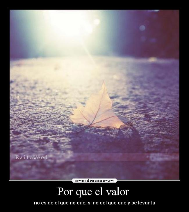 Por que el valor  - no es de el que no cae, si no del que cae y se levanta