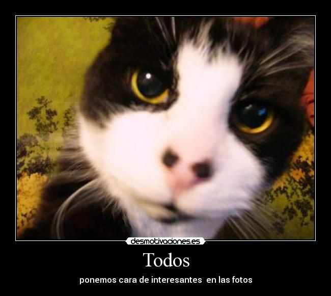 Todos - ponemos cara de interesantes en las fotos