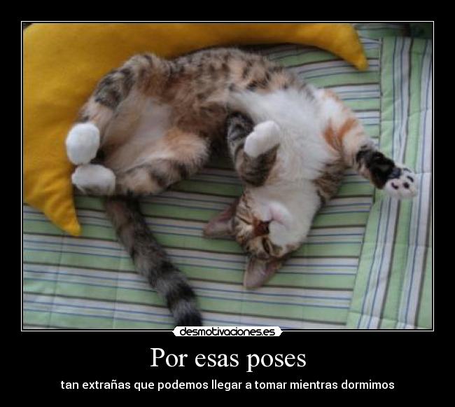carteles dormir dormimos poses esas extranas llegar desmotivaciones