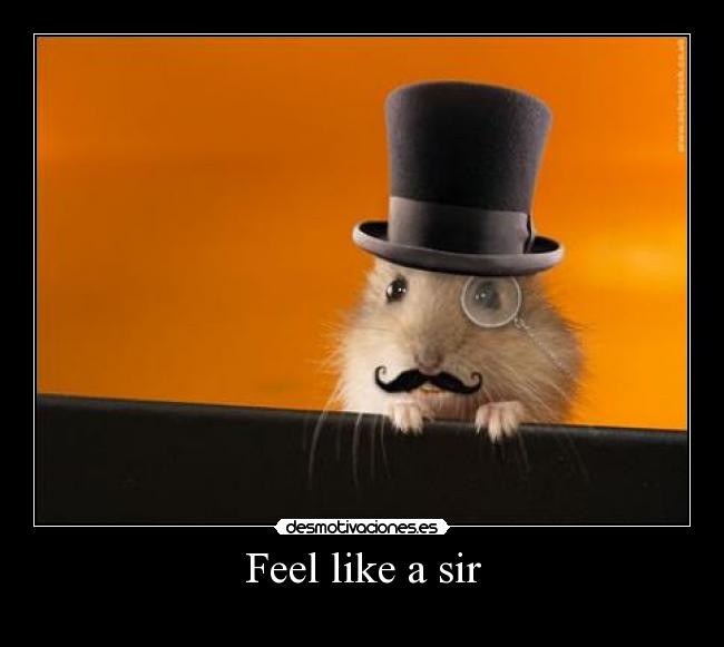 Feel like a sir - 