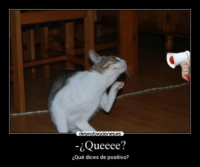 -¿Queeee? -
