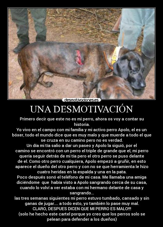 UNA DESMOTIVACIÓN -