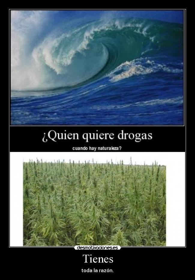 Tienes - toda la razón.