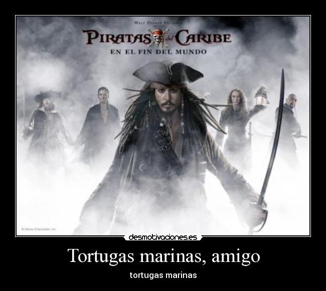 Tortugas marinas, amigo - tortugas marinas