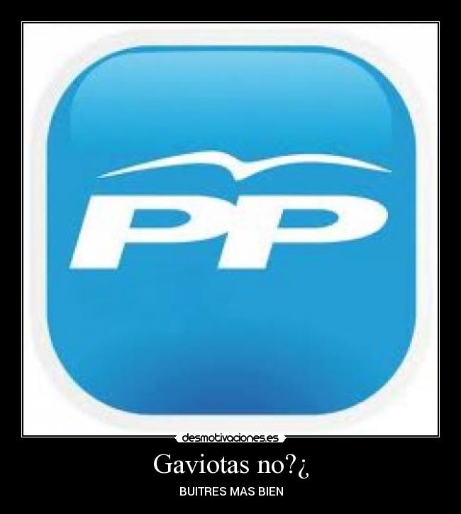 Gaviotas no?¿ -