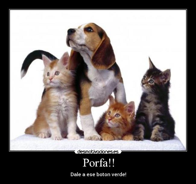 Porfa!! - 