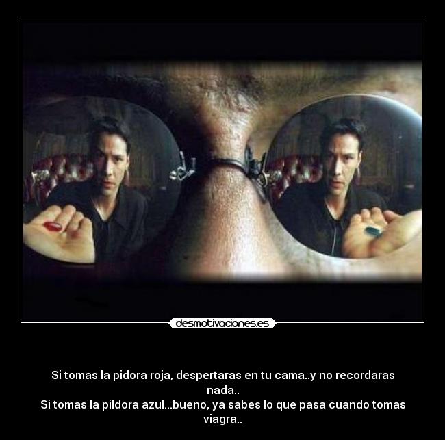 - Si tomas la pidora roja, despertaras en tu cama..y no recordaras nada..
Si tomas la pildora azul...bueno, ya sabes lo que pasa cuando tomas viagra..