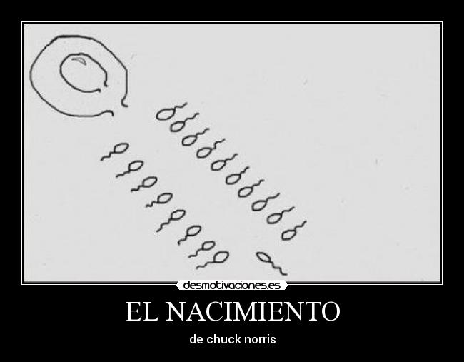 EL NACIMIENTO -