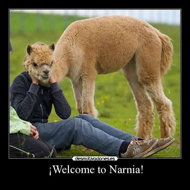 ¡Welcome to Narnia! - 