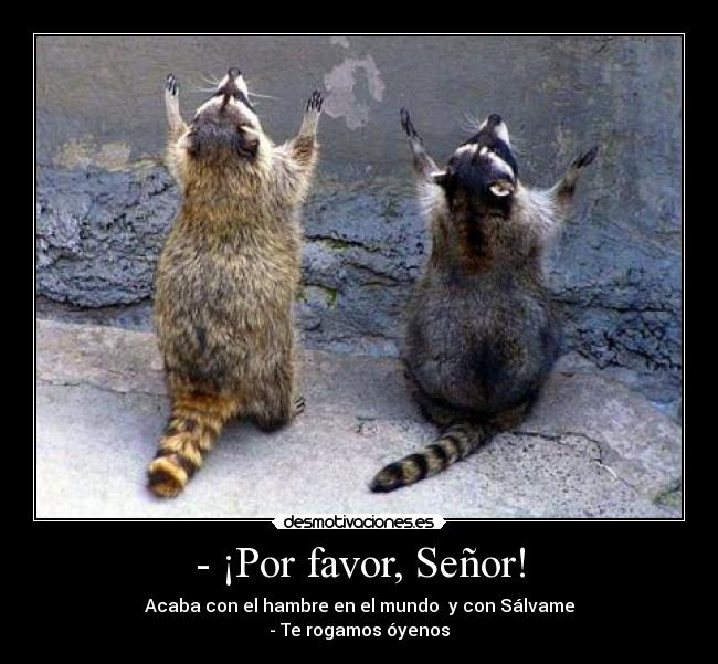- ¡Por favor, Señor! -