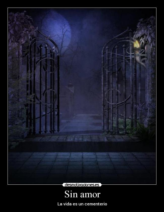 Sin amor -