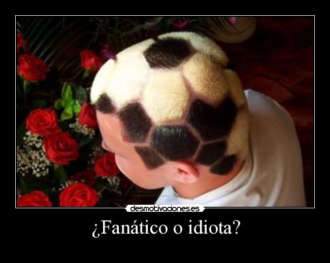 ¿Fanático o idiota? - 