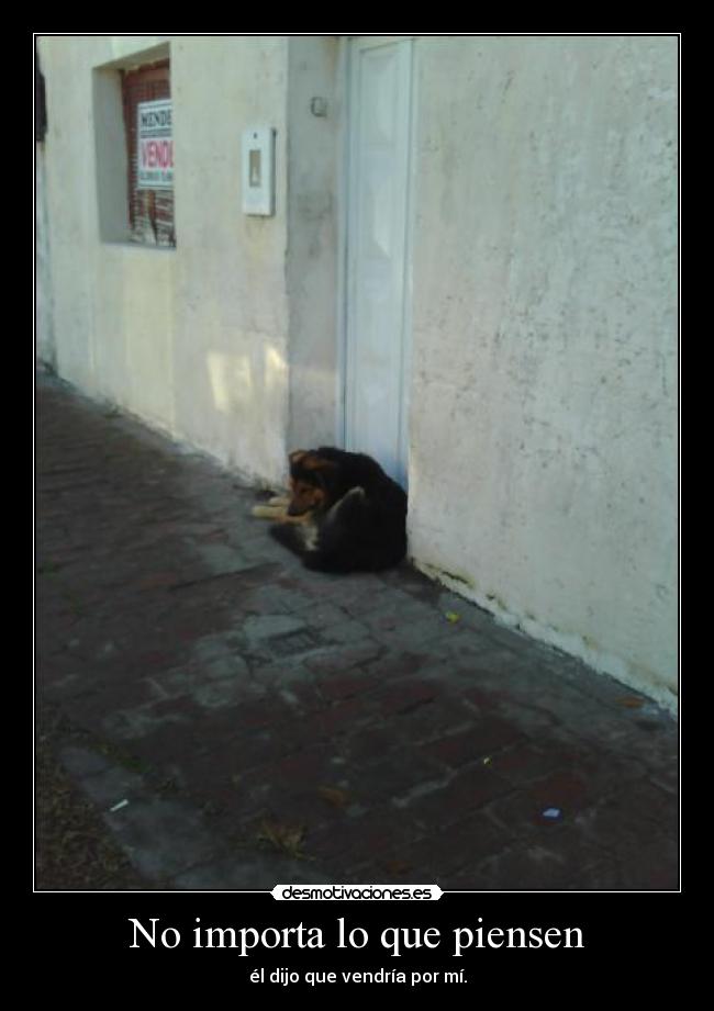 No importa lo que piensen - 