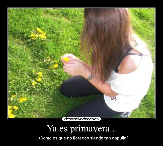 Ya es primavera... - 
