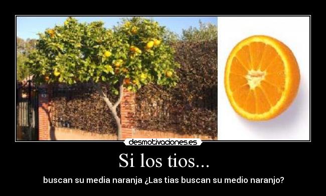 Si los tios... - buscan su media naranja ¿Las tias buscan su medio naranjo?