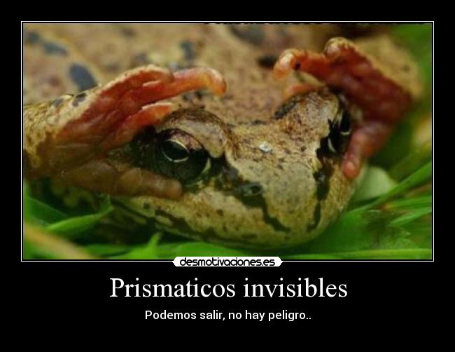 Prismaticos invisibles - Podemos salir, no hay peligro..