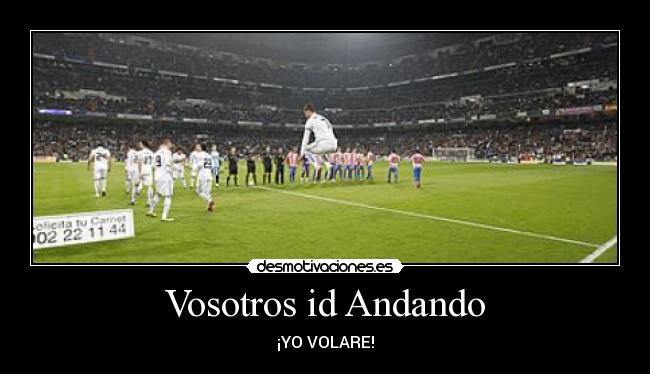 Vosotros id Andando - ¡YO VOLARE!