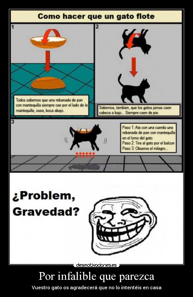 Por infalible que parezca - Vuestro gato os agradecerá que no lo intentéis en casa