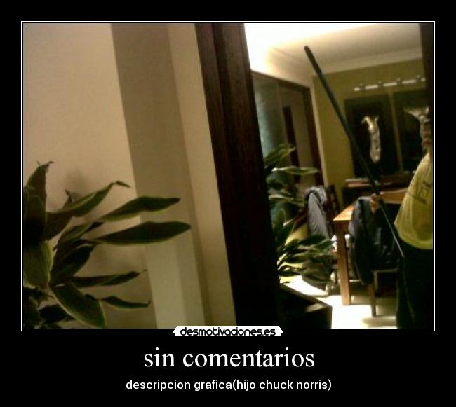 sin comentarios - descripcion grafica(hijo chuck norris)