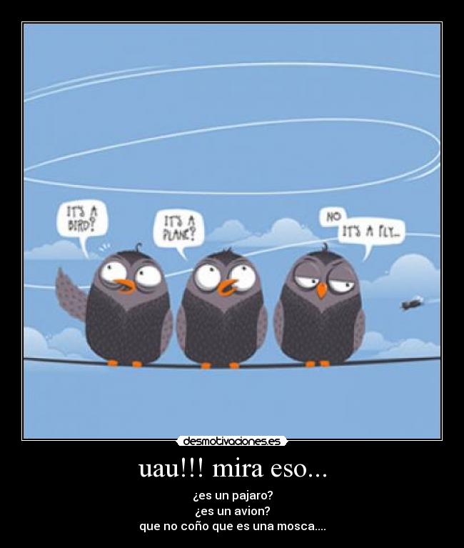uau!!! mira eso... - ¿es un pajaro?
¿es un avion?
que no coño que es una mosca....
