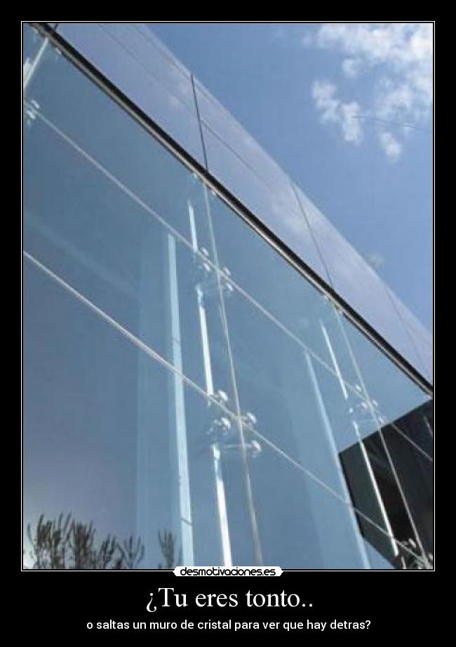 ¿Tu eres tonto.. -