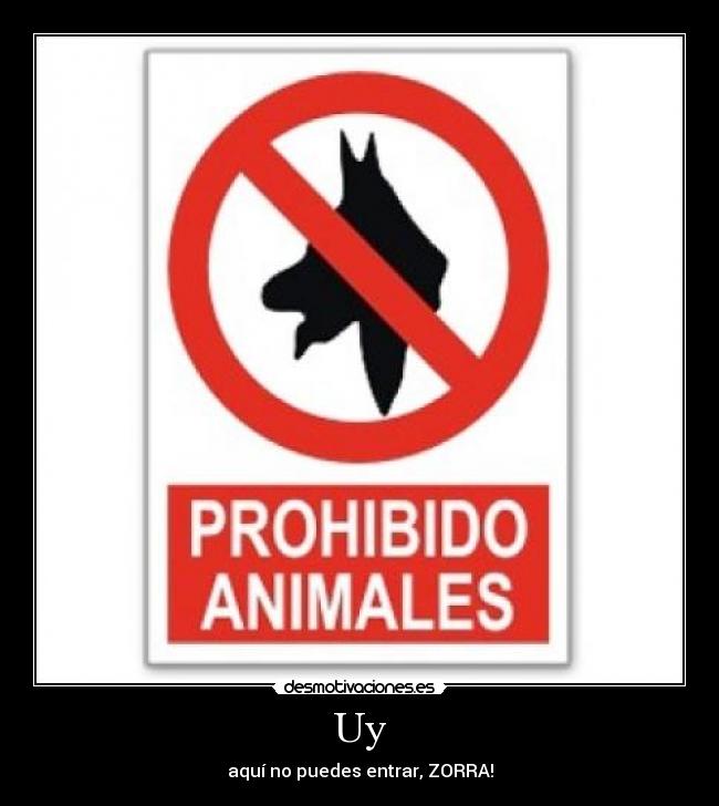 Uy - aquí no puedes entrar, ZORRA!