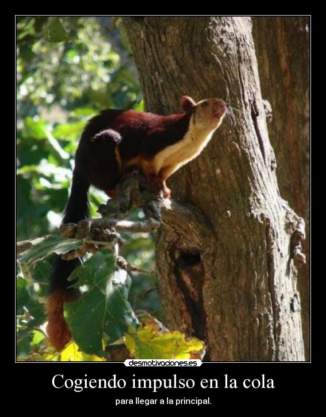 Cogiendo impulso en la cola - para llegar a la principal.