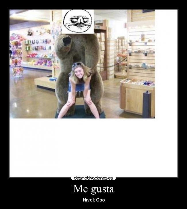 Me gusta - Nivel: Oso