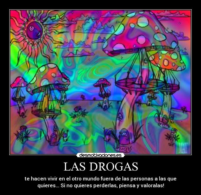 LAS DROGAS - 