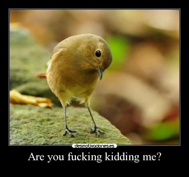 Are you fucking kidding me? -