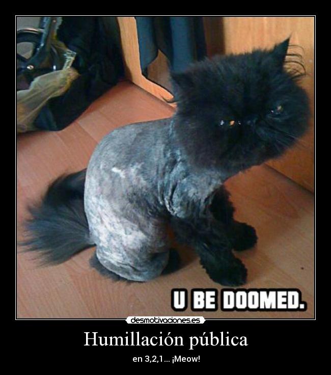 Humillación pública - 