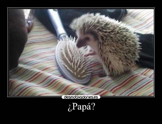 ¿Papá? - 