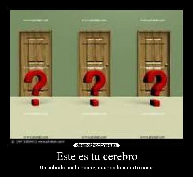 Este es tu cerebro - Un sábado por la noche, cuando buscas tu casa.