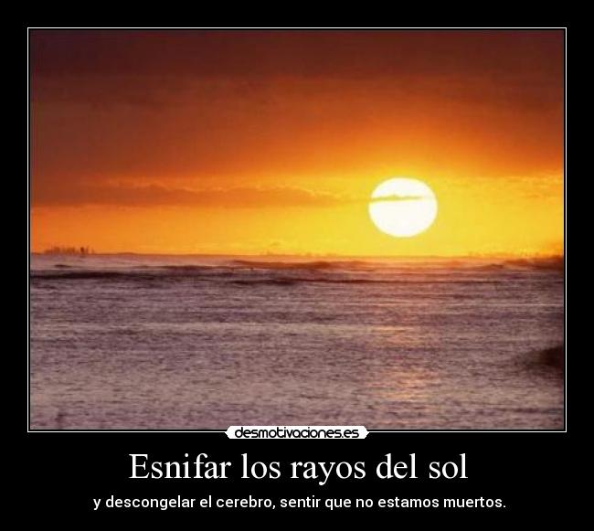 Esnifar los rayos del sol -