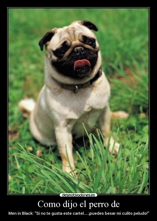 Como dijo el perro de - Men in Black: Si no te gusta este cartel.... ¡puedes besar mi culito peludo!