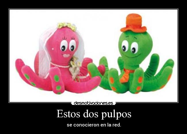 Estos dos pulpos - 