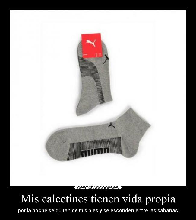 Mis calcetines tienen vida propia -