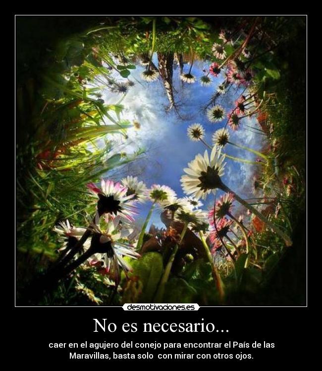 No es necesario... - 