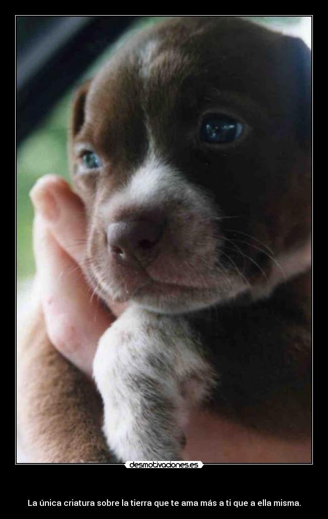   - La única criatura sobre la tierra que te ama más a ti que a ella misma.