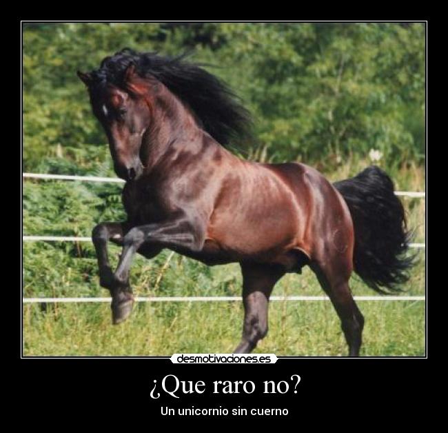 ¿Que raro no? -